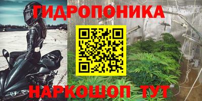 индика Берёзовский